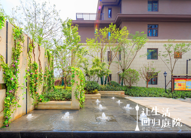 前后观望南阳50年：这样的庭院，很难再有了！